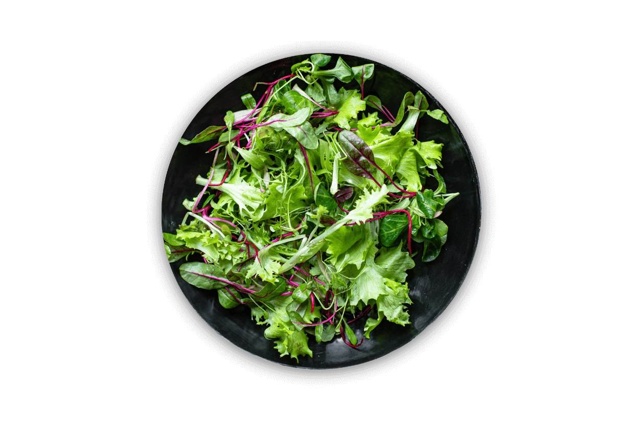 gruene salat