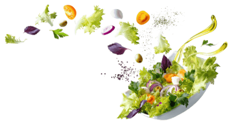 vegan abnehmen salatmischung