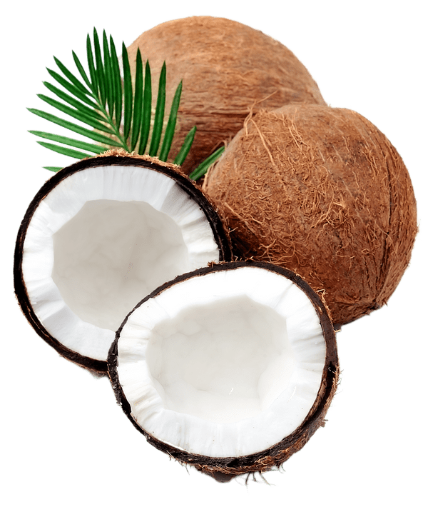 2 Kokosnüsse
