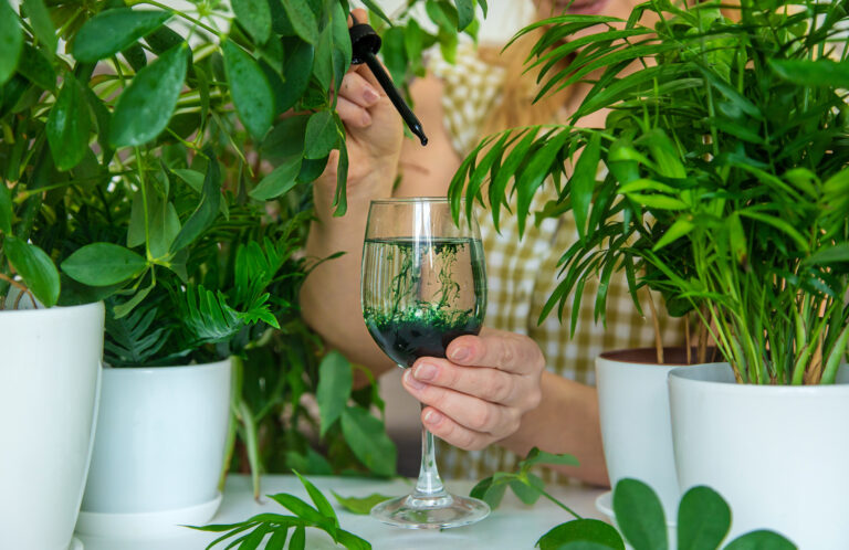 Inmitten grüner Pflanzen tropft eine Frau mit einer Pipette flüssiges Chlorophyll in ein Wasserglas