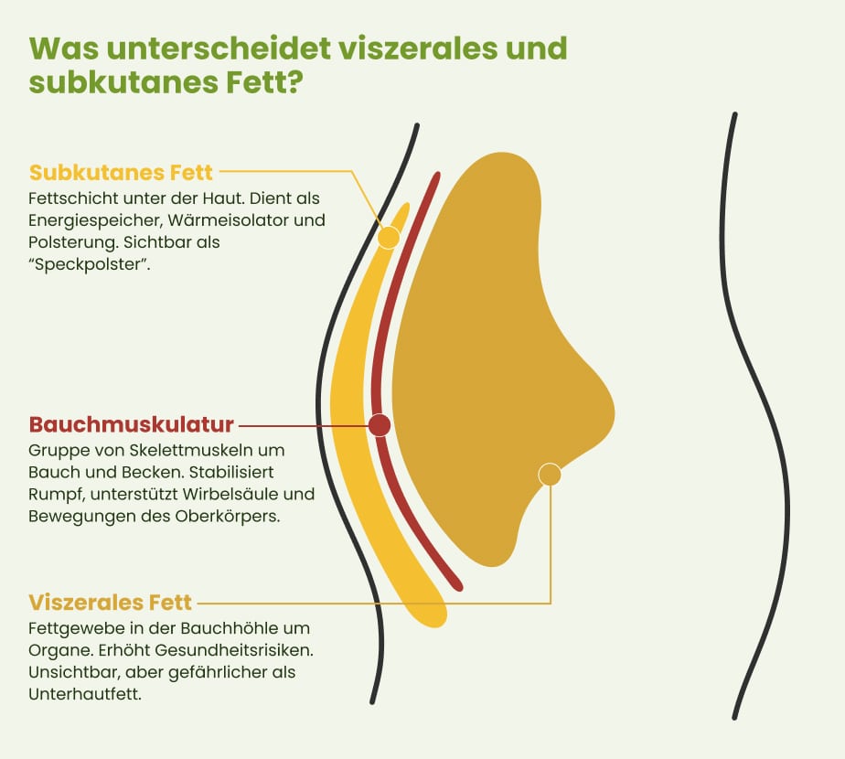 Diagramm zur Veranschaulichung der Unterschiede zwischen subkutanem und viszeralem Fett im Körper, mit Beschreibungen in deutscher Sprache.