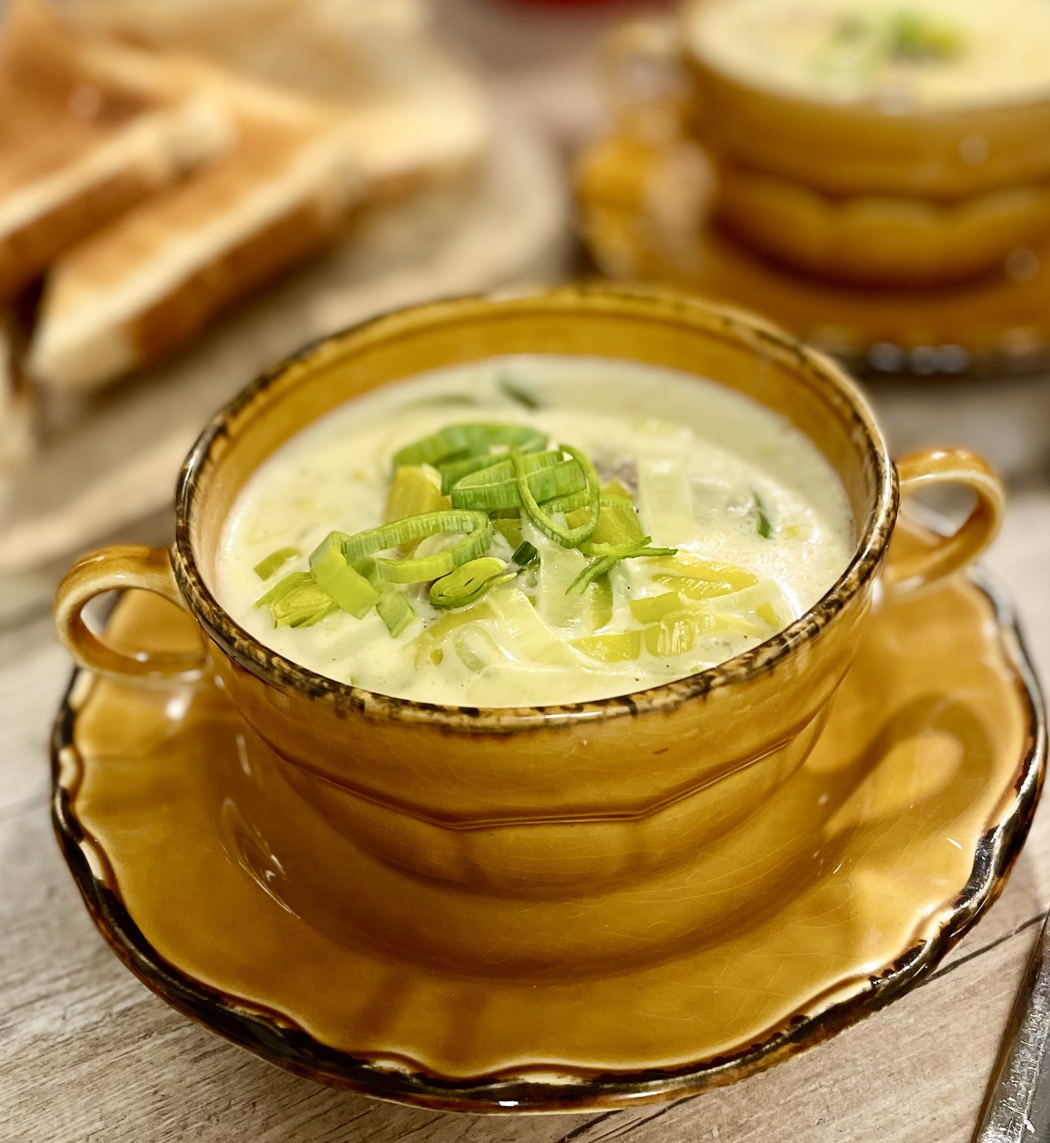 Eine Schüssel cremige Suppe, garniert mit geschnittenen Lauchstreifen in einer braunen Keramikschüssel auf einer passenden Untertasse. Im Hintergrund sind geröstete Brotscheiben zu sehen.