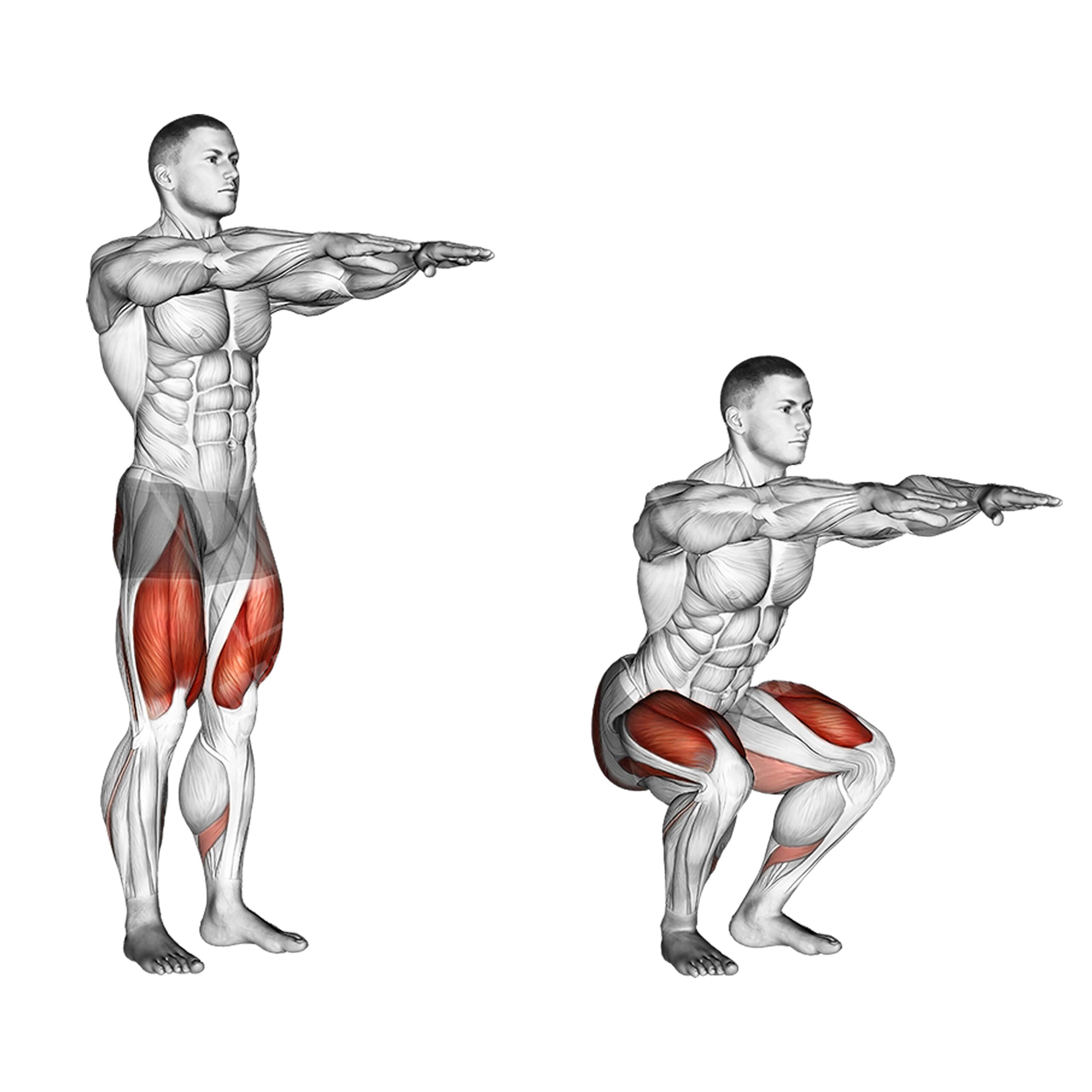 Abbildung eines Mannes, der Kniebeugen macht. Die beanspruchten Muskelgruppen, darunter Quadrizeps, Oberschenkelmuskulatur und Gesäßmuskeln, sind hervorgehoben.